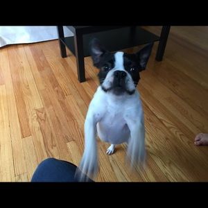 Meet your Posher, Sherry